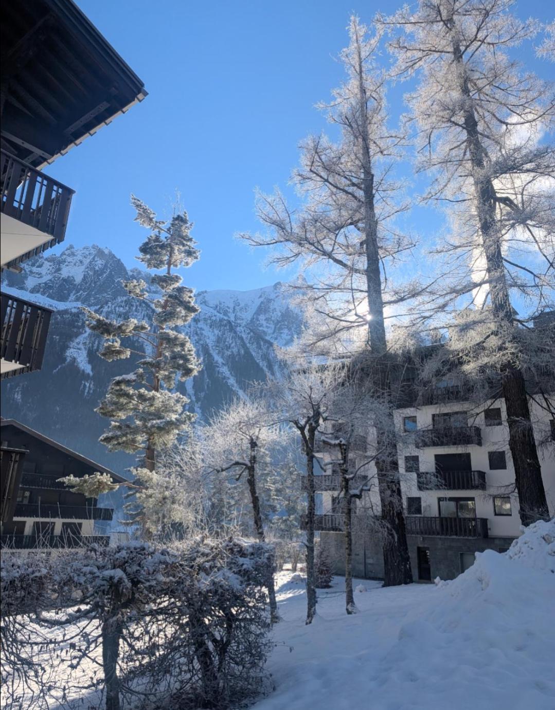 Au Petit Bois Apartment Chamonix Exterior photo